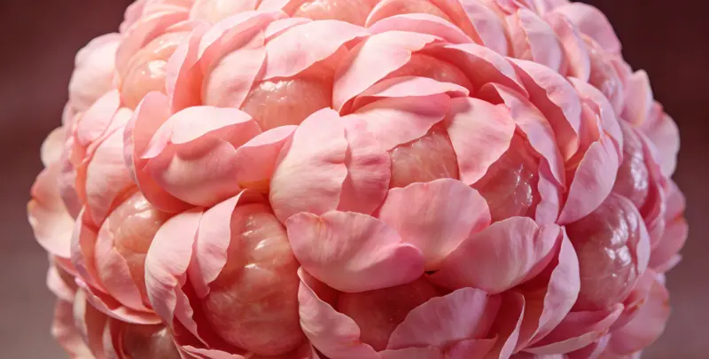 太原BRCA1/2乳腺癌卵巢癌基因检测图片1